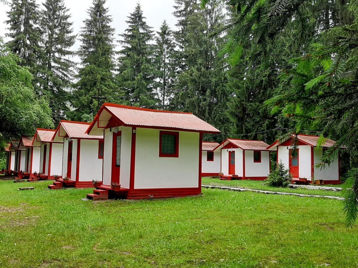Casute Valea Zanelor Hotel Ковасна Екстериор снимка
