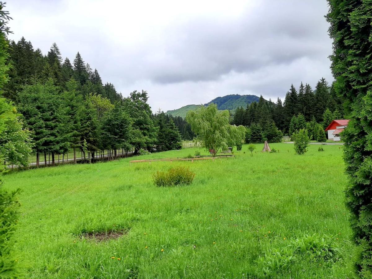 Casute Valea Zanelor Hotel Ковасна Екстериор снимка
