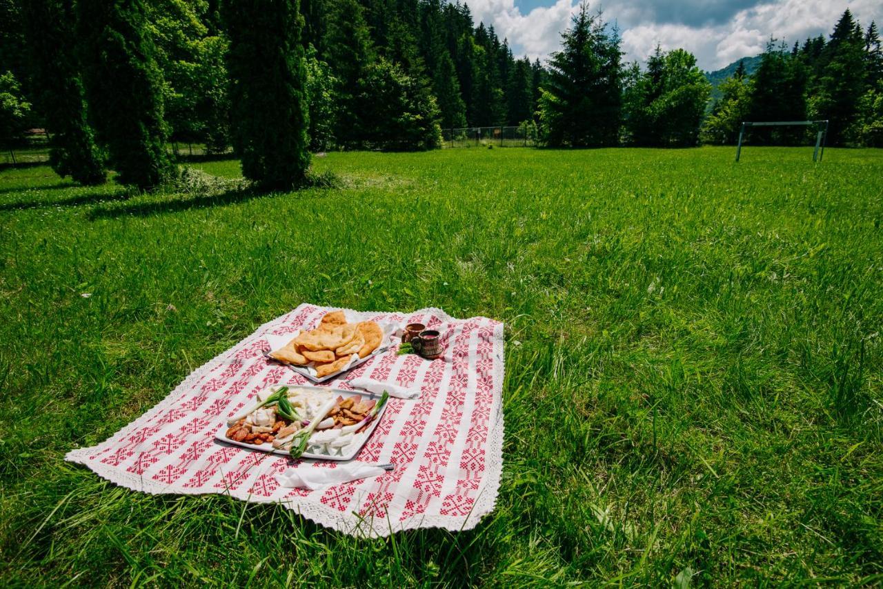 Casute Valea Zanelor Hotel Ковасна Екстериор снимка